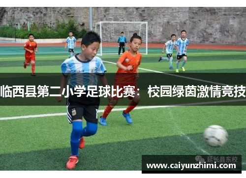 临西县第二小学足球比赛：校园绿茵激情竞技